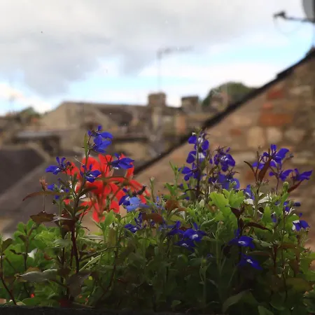 Back * קירבי לונסדייל